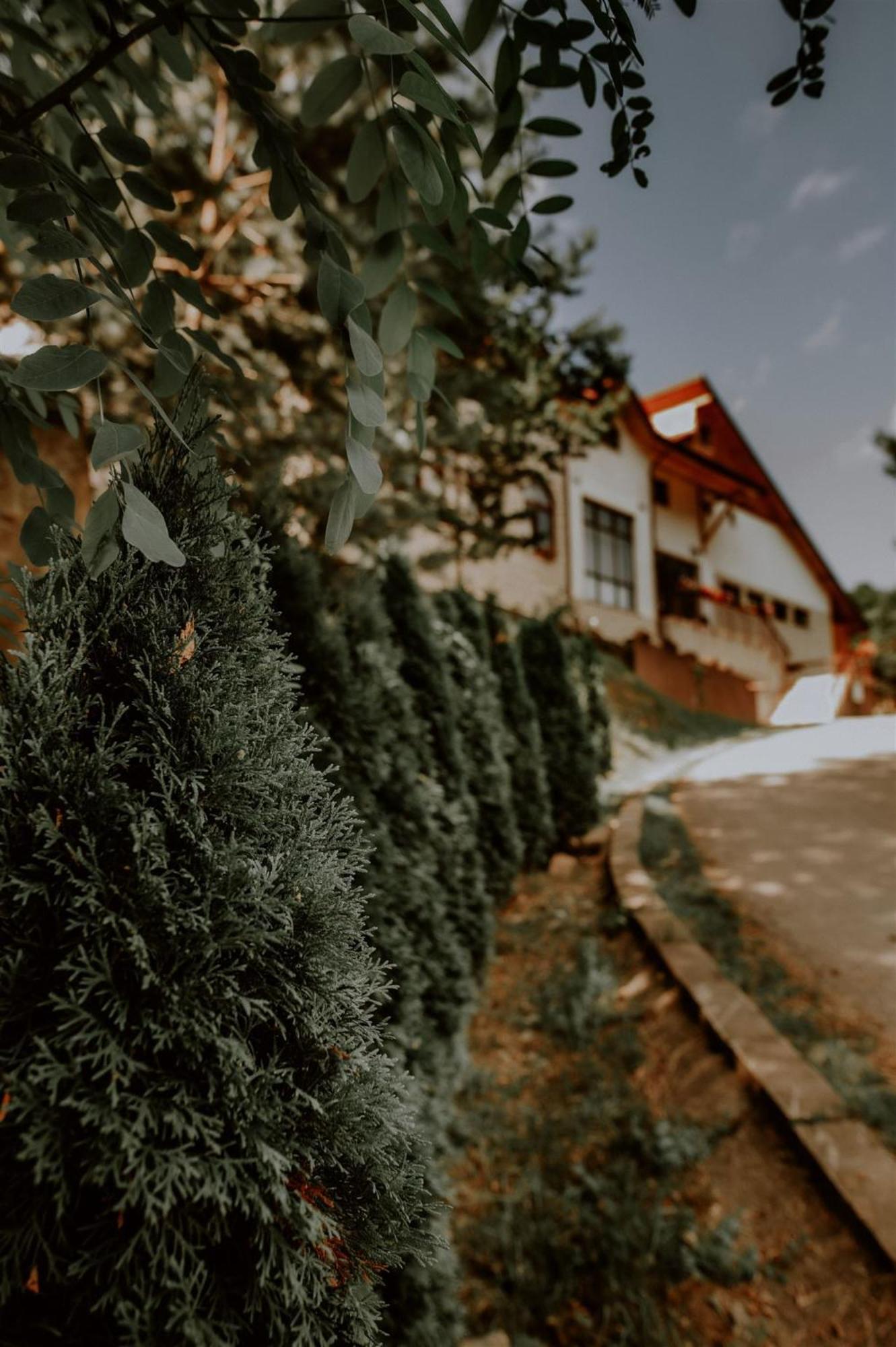 Pensiunea Poiana Verde Slănic-Moldova Zewnętrze zdjęcie