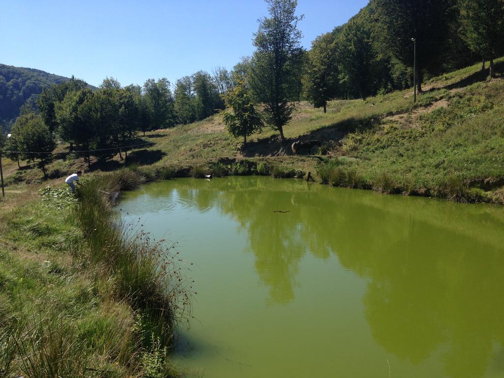 Pensiunea Poiana Verde Slănic-Moldova Zewnętrze zdjęcie